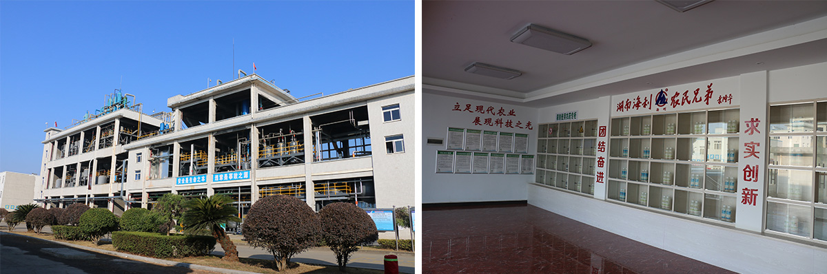 蓝月亮大全